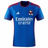 Original Fußballtrikot Olympique lyon Auswärtstrikot 2023-24 Für Herren